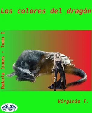 Virginie T. Los Colores Del Dragon обложка книги