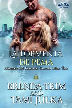 Brenda Trim La Tormenta De Pema обложка книги