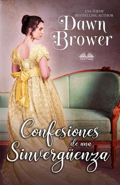 Dawn Brower Confesiones De Una Sinvergüenza обложка книги