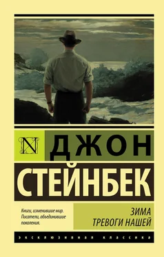 Джон Стейнбек Зима тревоги нашей [litres] обложка книги