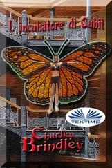 Charley Brindley - L'Incubatore Di Qubit