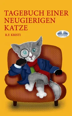 R. F. Kristi Tagebuch Einer Neugierigen Katze обложка книги