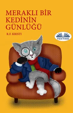 R. F. Kristi Merakli Bİr Kedİnİn Günlüğü обложка книги