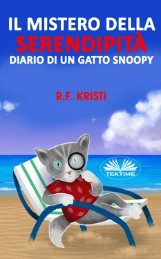 R. F. Kristi Il Mistero Della Serendipità обложка книги