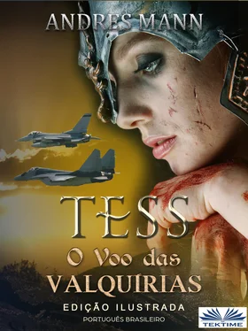 Andres Mann Tess: O Voo Das Valquírias обложка книги