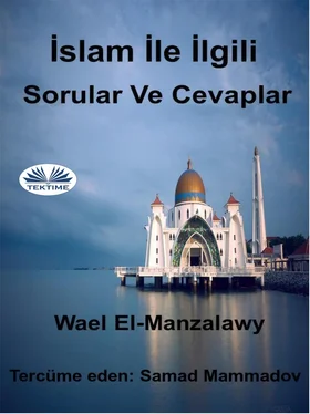 Wael El-Manzalawy İslam İle İlgili Sorular Ve Cevaplar обложка книги