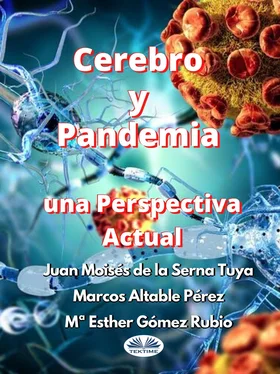 Juan Moisés De La Serna Tuya Cerebro Y Pandemia: Una Perspectiva Actual обложка книги