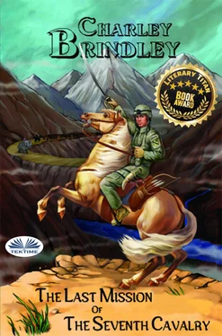 Charley Brindley The Last Mission Of The Seventh Cavalry обложка книги