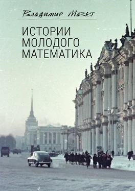 Владимир Мазья Истории молодого математика обложка книги