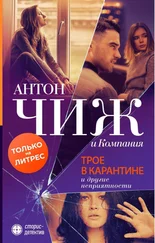 Евгения Ветрова - Трое в карантине и другие неприятности
