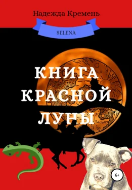 Надежда Кремень Книга красной луны обложка книги