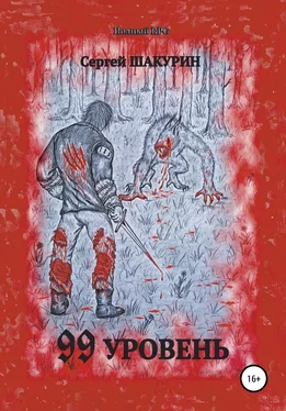 Сергей Шакурин 99 уровень обложка книги