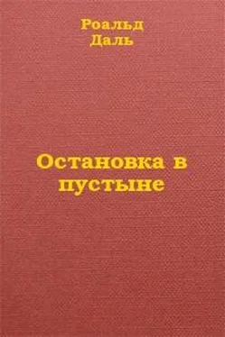 Роальд Даль Остановка в пустыне обложка книги