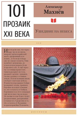 Александр Махнёв Ушедшие на небеса обложка книги