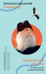 Василий Епископ - Живет во мне Христос. О смысле жизни и православной веры