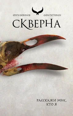 Сири Петтерсен Скверна обложка книги