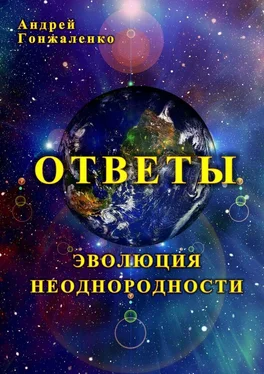 Андрей Гонжаленко Ответы. Эволюция неоднородности обложка книги