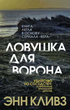 Энн Кливз Ловушка для ворона обложка книги