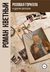 Роман Кветный - «Розовая горилла» и другие рассказы