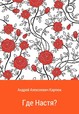 Андрей Карпюк Где Настя? обложка книги