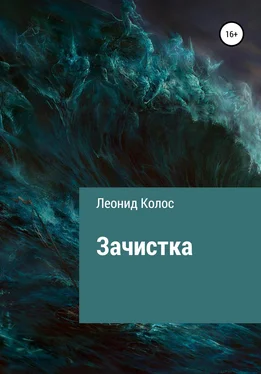 Леонид Колос Зачистка обложка книги