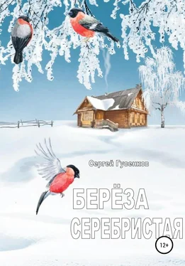 Сергей Гусенков Берёза серебристая обложка книги
