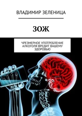 Владимир Зеленица ЗОЖ. Чрезмерное употребление алкоголя вредит вашему здоровью обложка книги