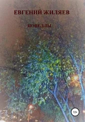 Евгений Жиляев - Новеллы