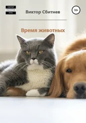 Виктор Сбитнев - Время животных. Три повести