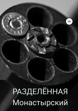 Михаил Монастырский Разделённая обложка книги