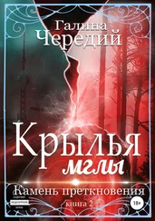 Галина Чередий - Крылья мглы. Камень преткновения