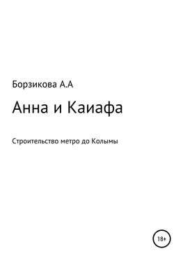 Анна Борзикова Анна и Каиафа обложка книги