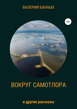 Валерий Банных Вокруг Самотлора и другие рассказы обложка книги