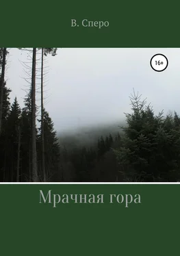 Виктория Сперо Мрачная гора обложка книги