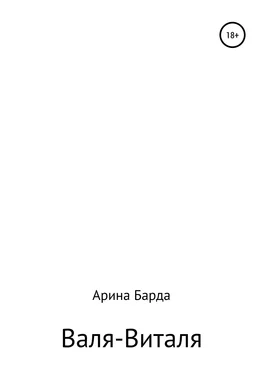 Арина Барда Валя-Виталя обложка книги