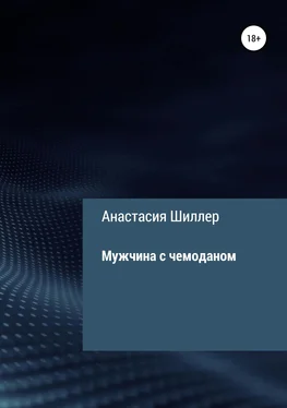 Анастасия Шиллер Мужчина с чемоданом обложка книги