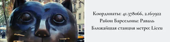 На улицах Барселоны помимо привычных кошек вы можете встретить особого котика - фото 24