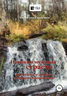 Вячеслав Карпенко Истинно мужская страсть обложка книги