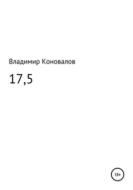 Владимир Коновалов 17,5 обложка книги