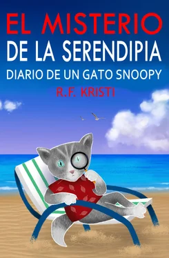 R. F. Kristi El Misterio De La Serendipia обложка книги