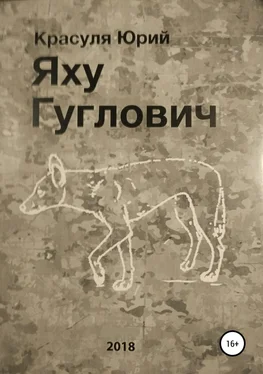 Юрий Красуля Яху Гуглович обложка книги