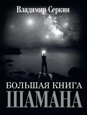 Владимир Серкин Большая книга Шамана обложка книги