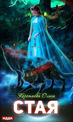 Ольга Коротаева - Стая