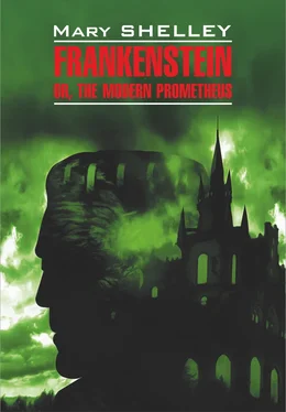 Mary Shelley Frankenstein, or The Modern Prometheus / Франкенштейн, или Современный Прометей. Книга для чтения на английском языке обложка книги