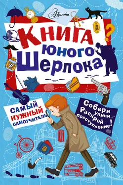 Стюарт Росс Книга юного Шерлока обложка книги