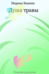 Марина Винник - Душа травы