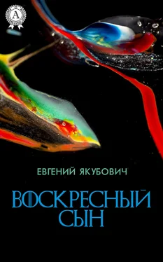 Евгений Якубович Воскресный Сын обложка книги