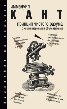 Иммануил Кант Принцип чистого разума обложка книги