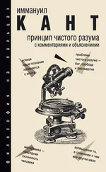 Иммануил Кант - Принцип чистого разума