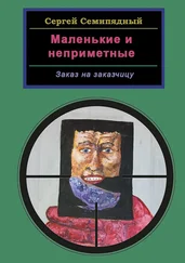 Сергей Семипядный - Маленькие и неприметные. Заказ на заказчицу